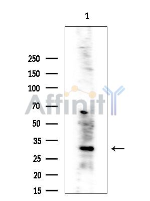 Валидация Affinity DF3894 - 15060