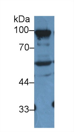 13549