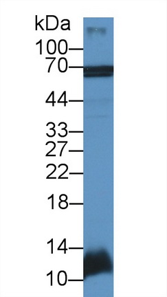 12588