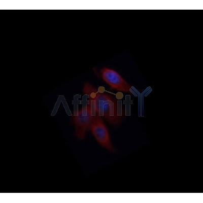 Валидация Affinity AF5103 - 2456