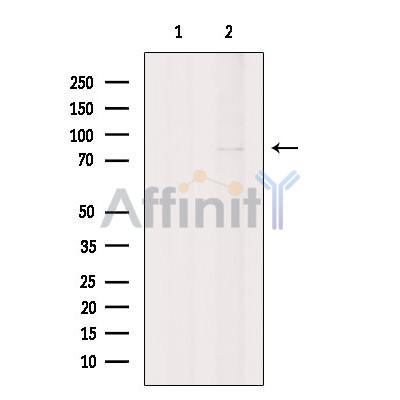Валидация Affinity DF4690 - 16364