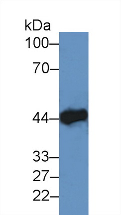 8361