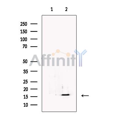 Валидация Affinity DF3229 - 14063