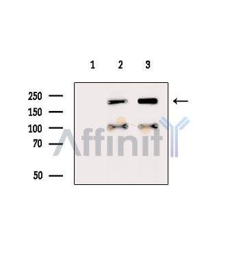 Валидация Affinity DF15723 - 12192