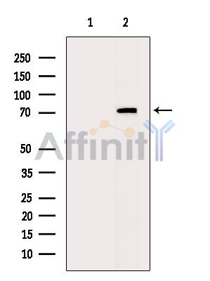 Валидация Affinity DF3257 - 14104