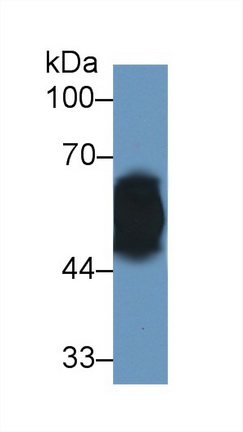 13110