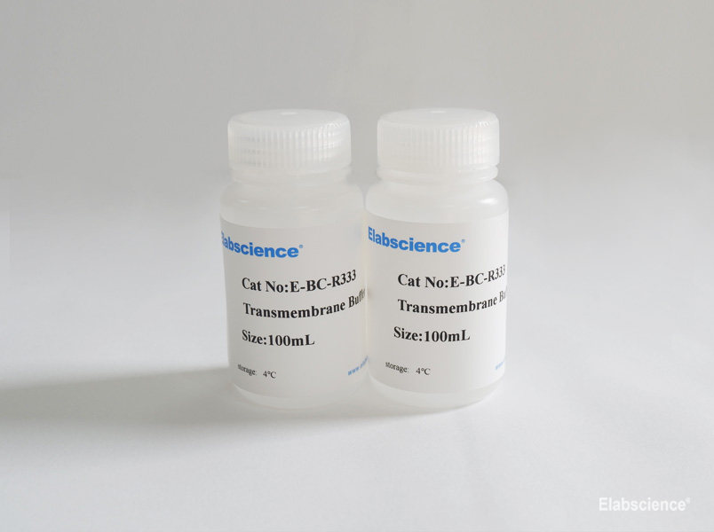 Фото Elabscience E-BC-R333