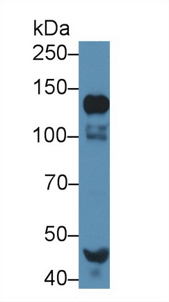 13535