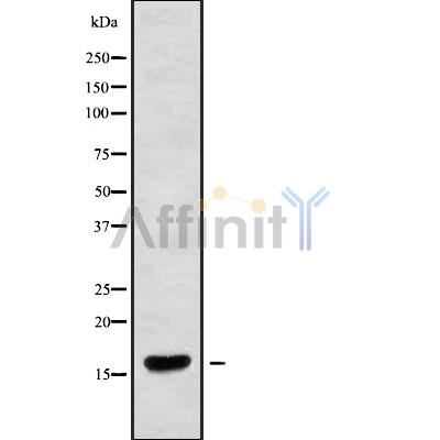Валидация Affinity DF9462 - 22045