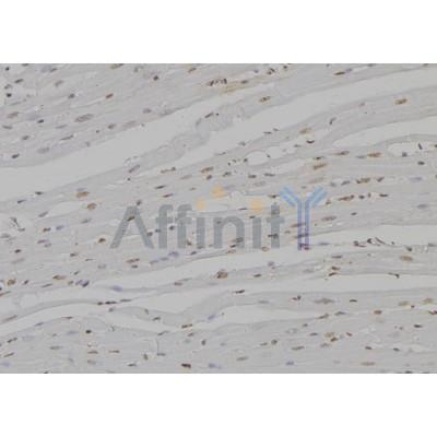 Валидация Affinity DF6342 - 17684