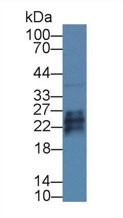 8837