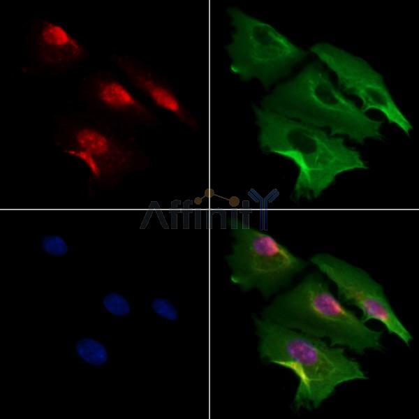 Валидация Affinity DF4193 - 15548