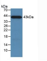 3573