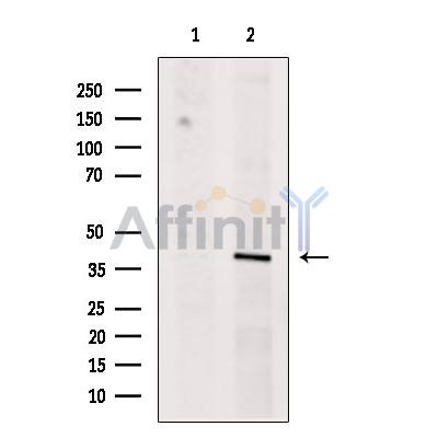 Валидация Affinity DF12176 - 6391