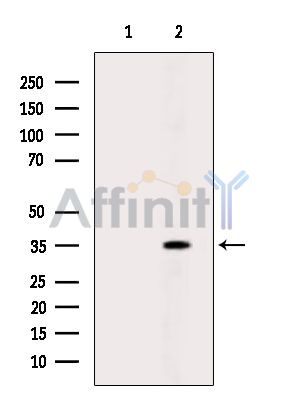 Валидация Affinity DF6352 - 17698