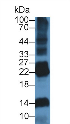8372