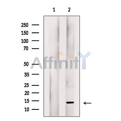 Валидация Affinity DF7386 - 19112