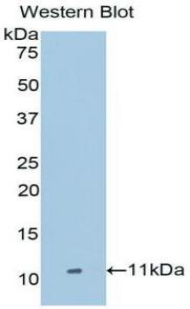 38985