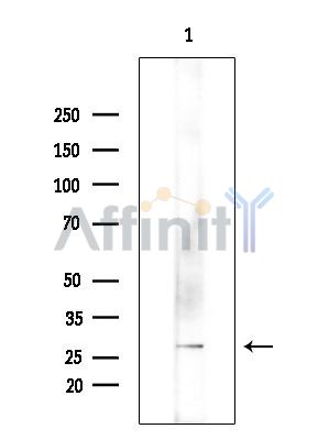 Валидация Affinity DF16123 - 12714