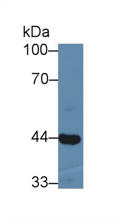 12824