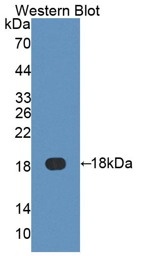 59429