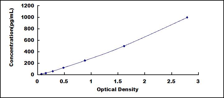 65020