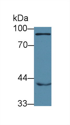 12673
