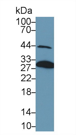 13364