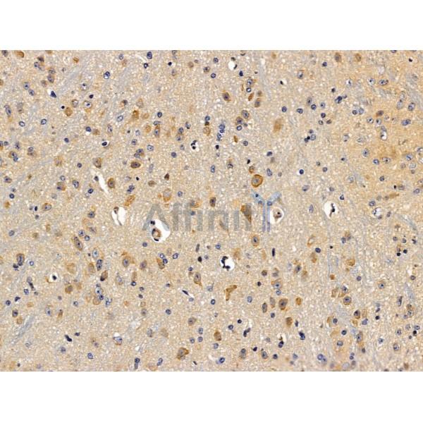 Валидация Affinity DF13509 - 8906