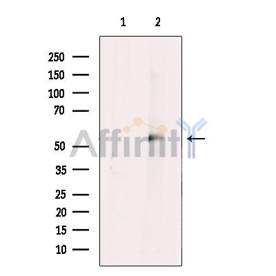 Валидация Affinity DF12480 - 7042