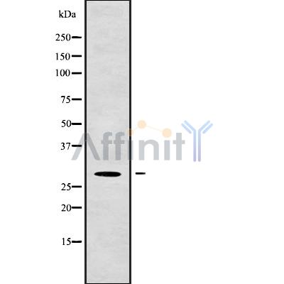 Валидация Affinity DF9573 - 22255