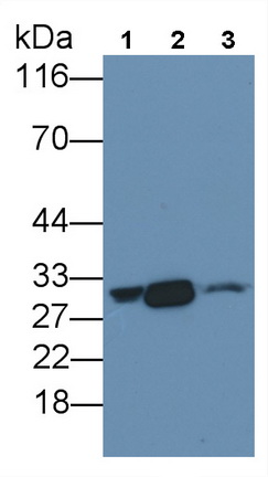 13772