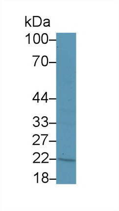 12643