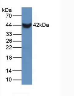 5659