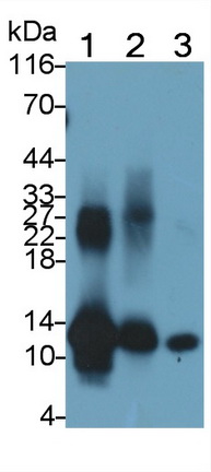 64903