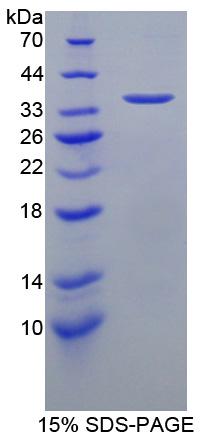 43420