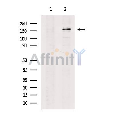 Валидация Affinity DF13252 - 8321