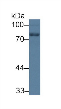 8880