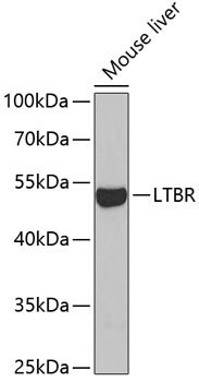 Валидация Elabscience E-AB-67650