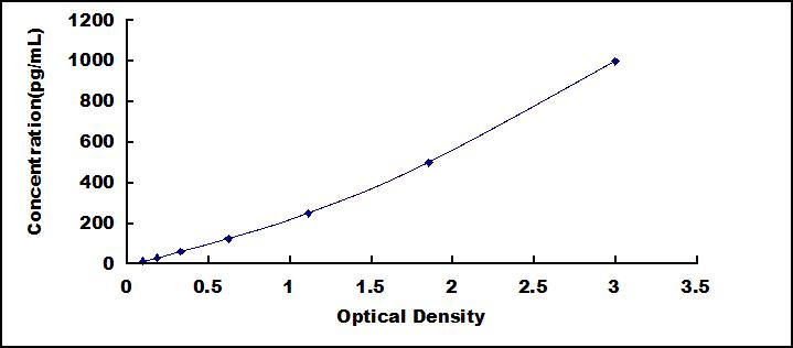 62053