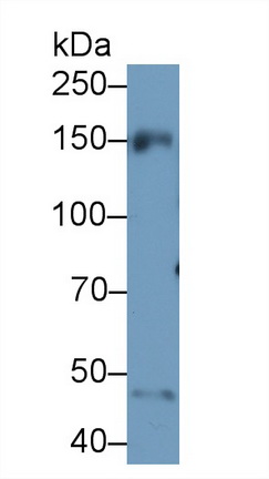 13471