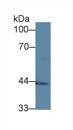 8958