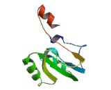 Tetraspanin 30 (TSPAN30)