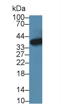 8963
