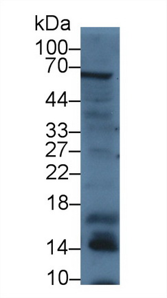 14741