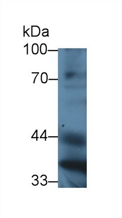 8392