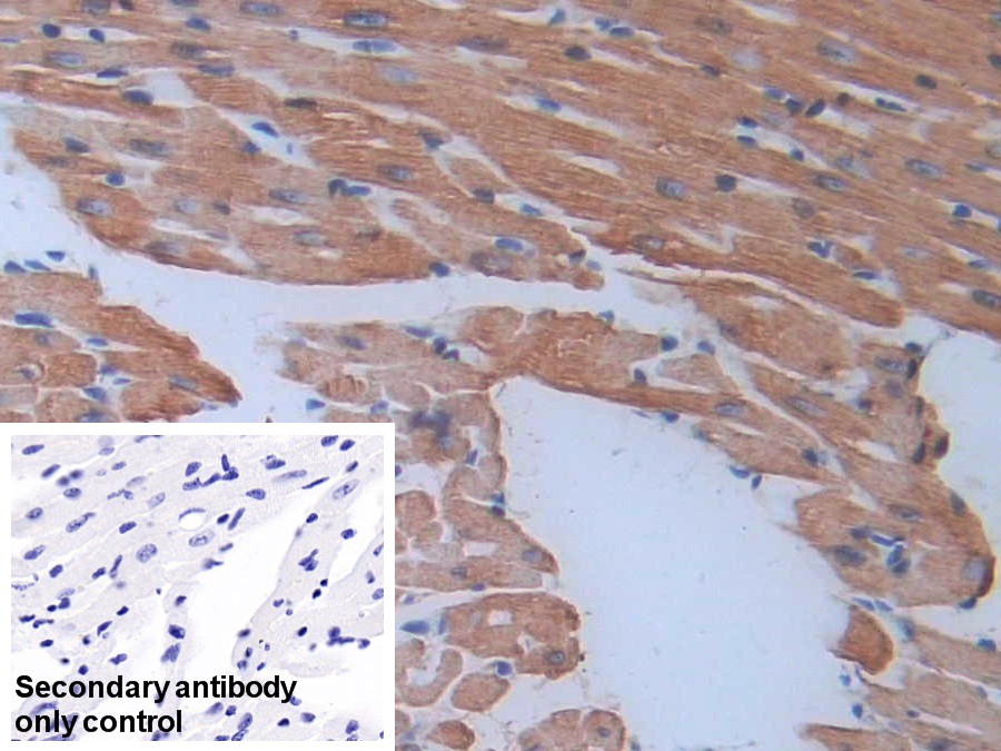 30319