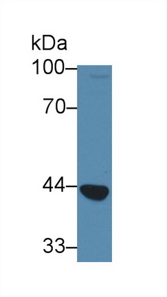12846