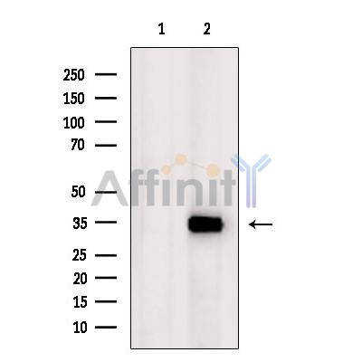 Валидация Affinity DF3787 - 14892