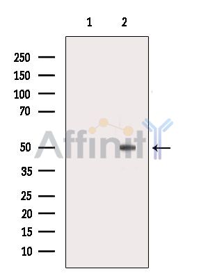 Валидация Affinity AF6574 - 3881